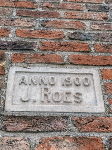 Roes 6
